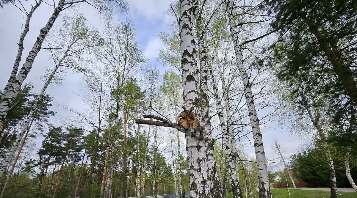 дом городской округ Раменский д Осеченки ул Парковая Удельная фото 22