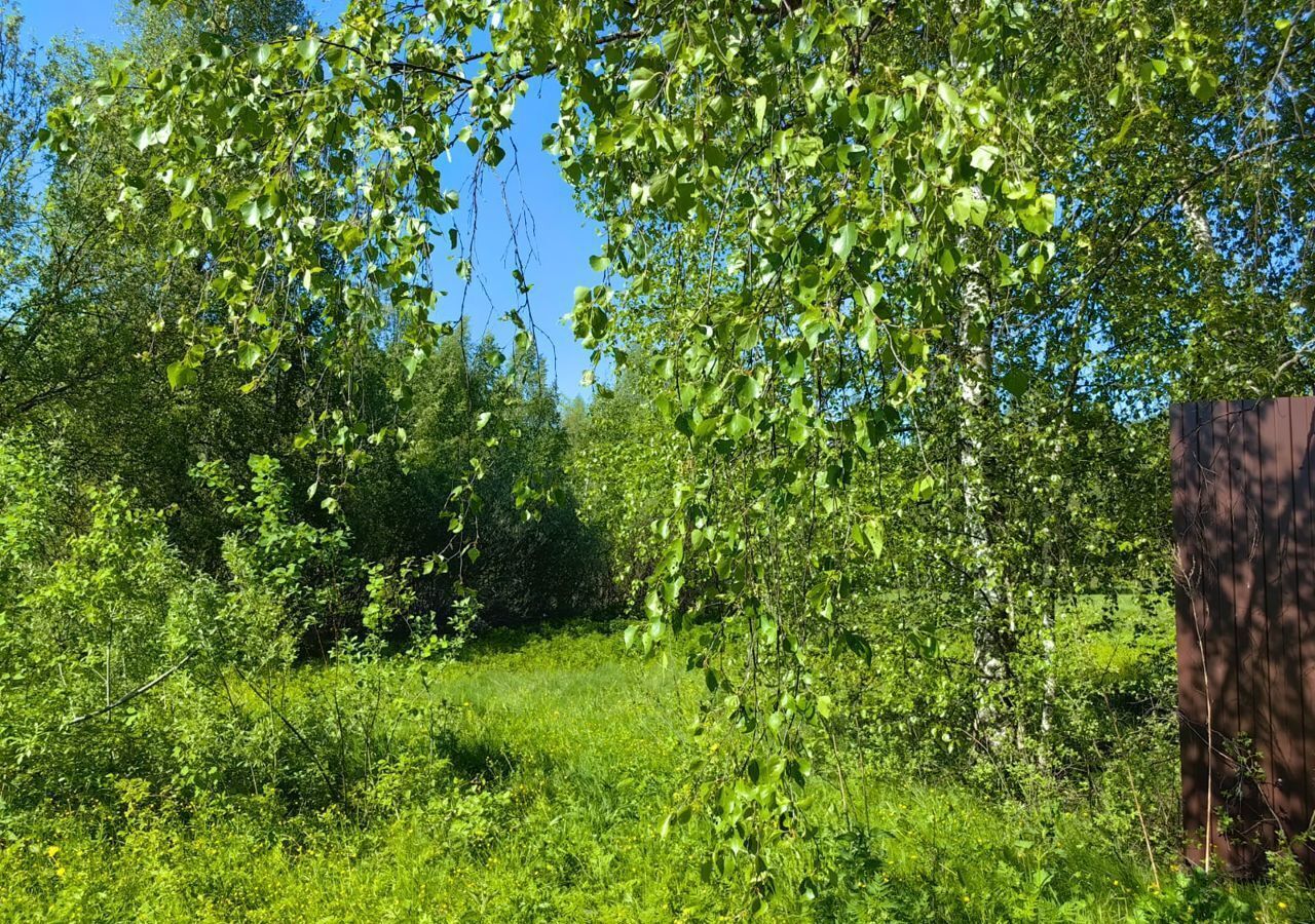 земля городской округ Дмитровский рп Деденево 9761 км, территория Дмитровские Дачи, Соловьиная ул, Дмитровское шоссе фото 9