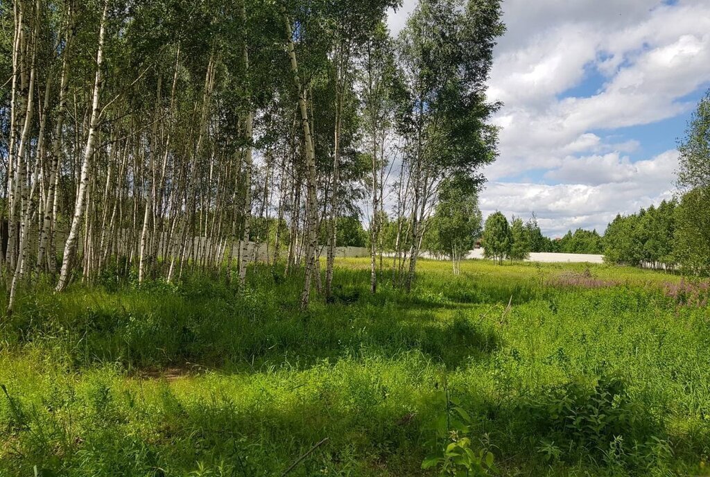 земля городской округ Дмитровский рп Деденево Лобня фото 16