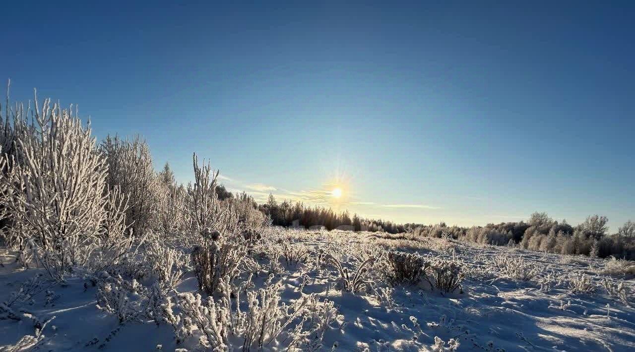 земля р-н Новгородский д Васильевское Ракомское с/пос фото 18