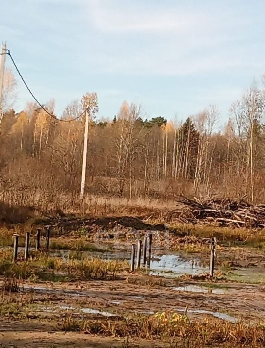 земля р-н Новгородский д Прилуки Бронницкое с пос фото 20