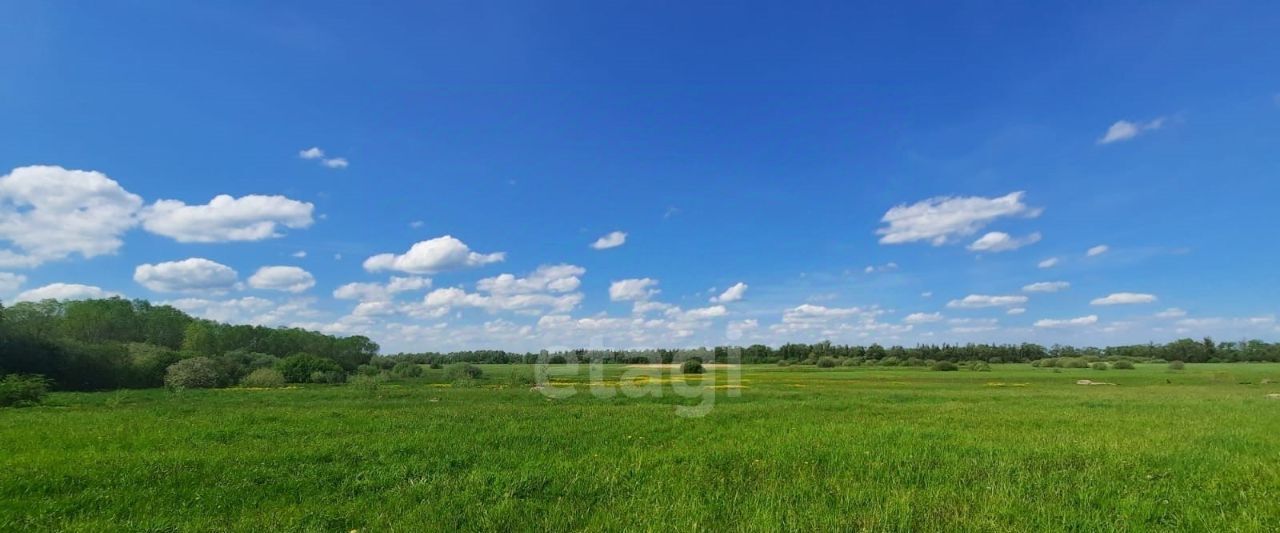 земля р-н Шимский д Большая Витонь Шимское городское поселение фото 12