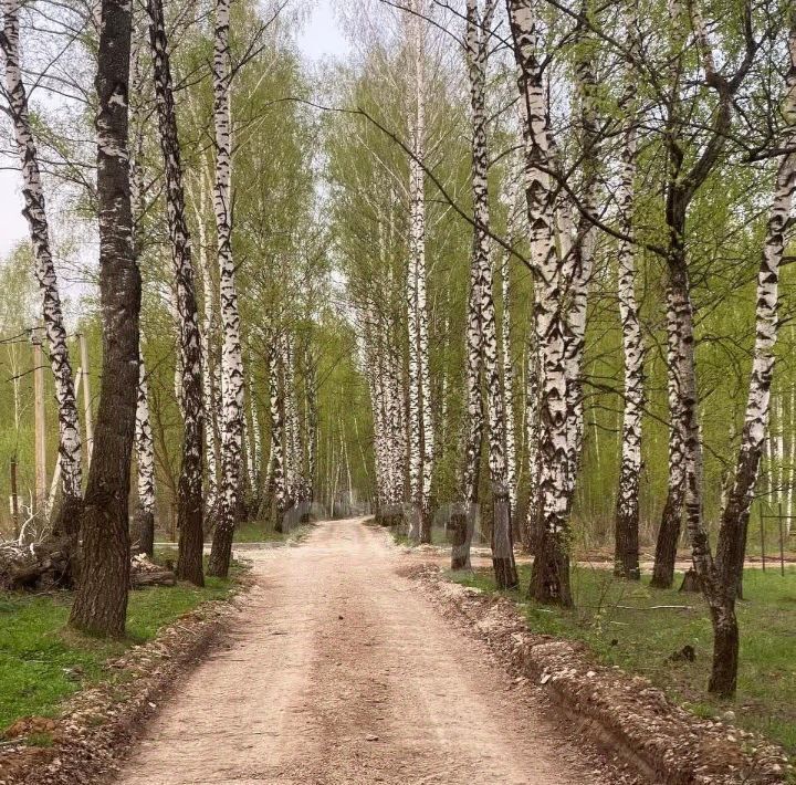 дом р-н Ленинский с Частое ул Южная 10 Тула фото 12