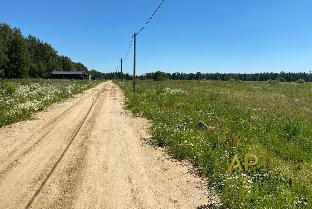 земля городской округ Раменский д Тяжино ул Смородиновая фото 2