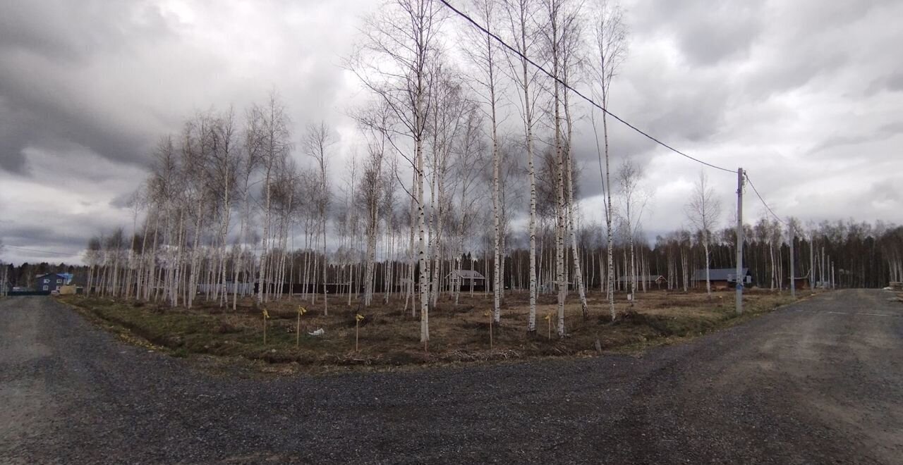 земля городской округ Дмитровский п Новое Гришино 9756 км, Деденево, Дмитровское шоссе фото 14