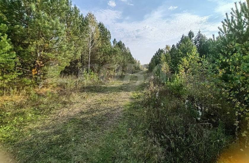 земля р-н Нижнетавдинский садовые участки Боярский двор фото 1