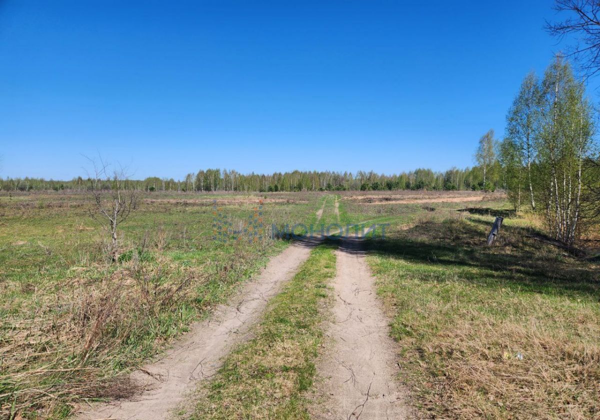 земля р-н Лысковский с Нижний Красный Яр ул Трудовая Лысково фото 1