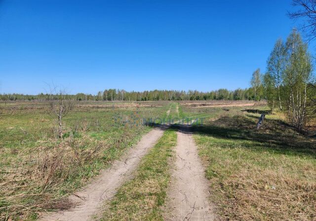 с Нижний Красный Яр ул Трудовая Лысково фото