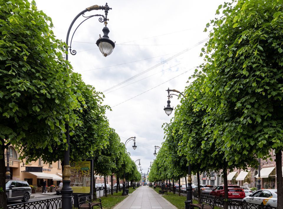 квартира г Санкт-Петербург метро Чернышевская пр-кт Чернышевского 4 фото 38