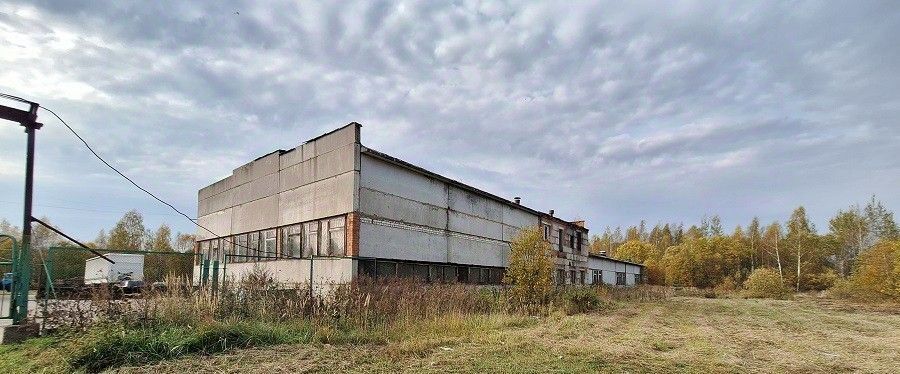 производственные, складские р-н Рыбинский д Дюдьково Октябрьское с/пос фото 20