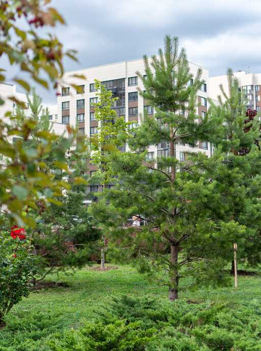 квартира г Москва метро Прокшино метро Коммунарка ТиНАО бульвар Веласкеса, 7к 5 фото 33