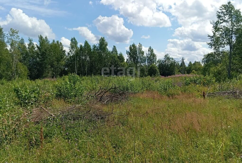 земля р-н Окуловский д Загубье Турбинное сельское поселение фото 4