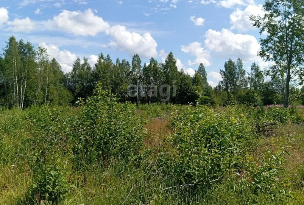 земля р-н Окуловский д Загубье Турбинное сельское поселение фото 11