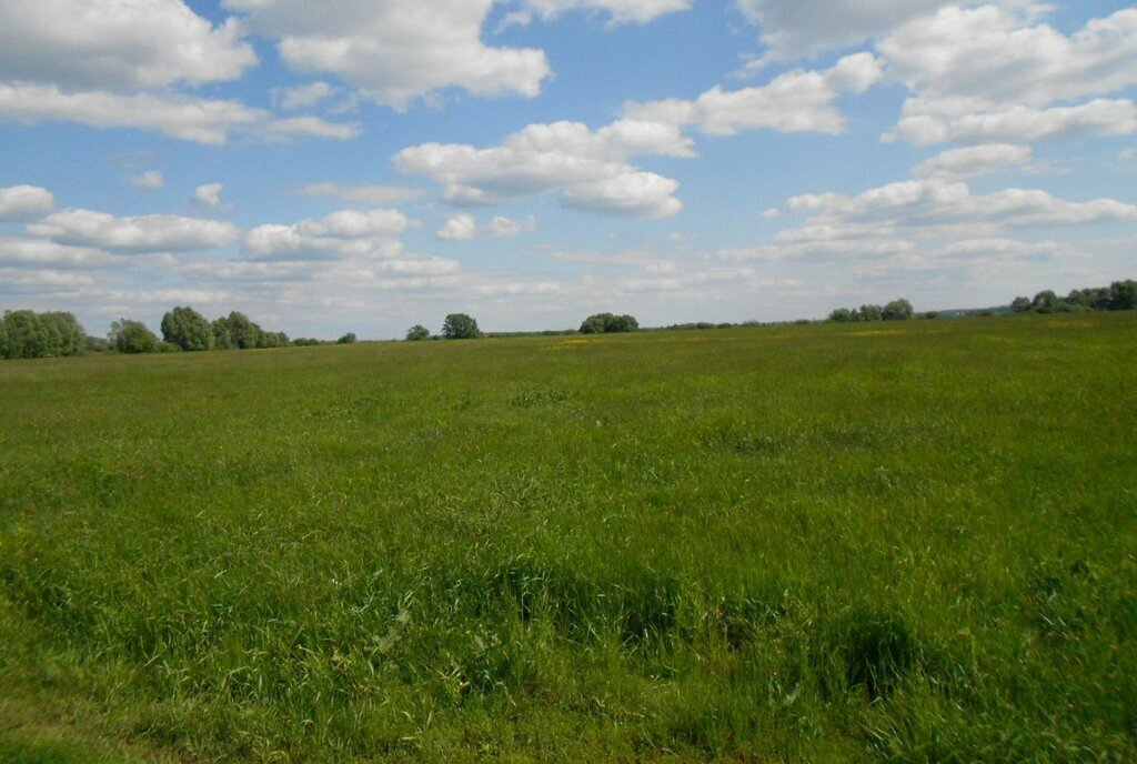 земля р-н Красноармейский Шумовское сельское поселение фото 2