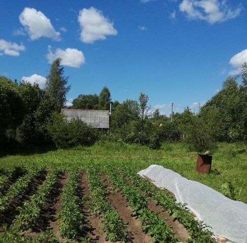 снт Торошинка Торошинская волость фото