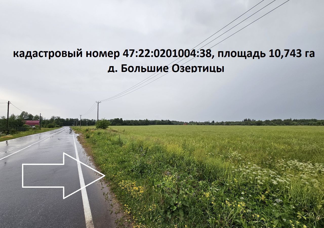 земля р-н Волосовский д Бегуницы Таллинское шоссе, 9781 км, Большеврудское сельское поселение, Каложицкое сельское поселение фото 1