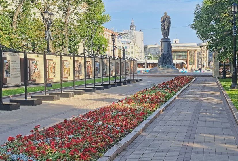 квартира г Москва метро Чистые пруды Бауманка ул Чаплыгина 8с/1 фото 23