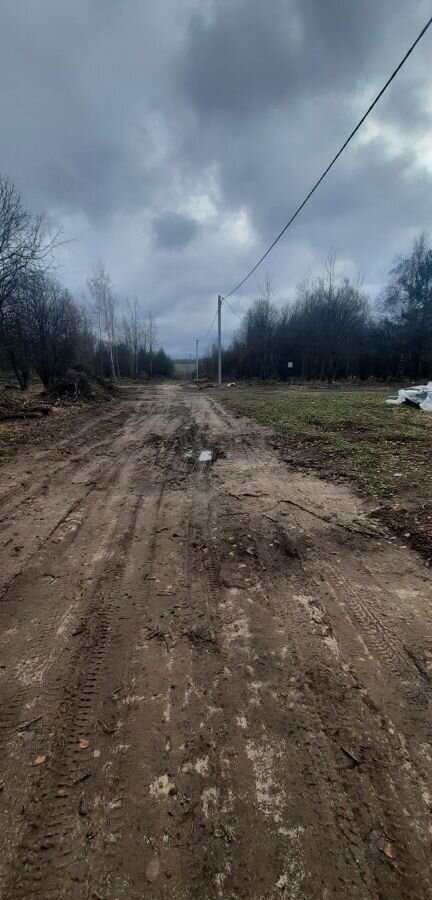 земля р-н Дальнеконстантиновский д Хмелевая Поляна ул Удачная 12 Дальнее Константиново фото 27