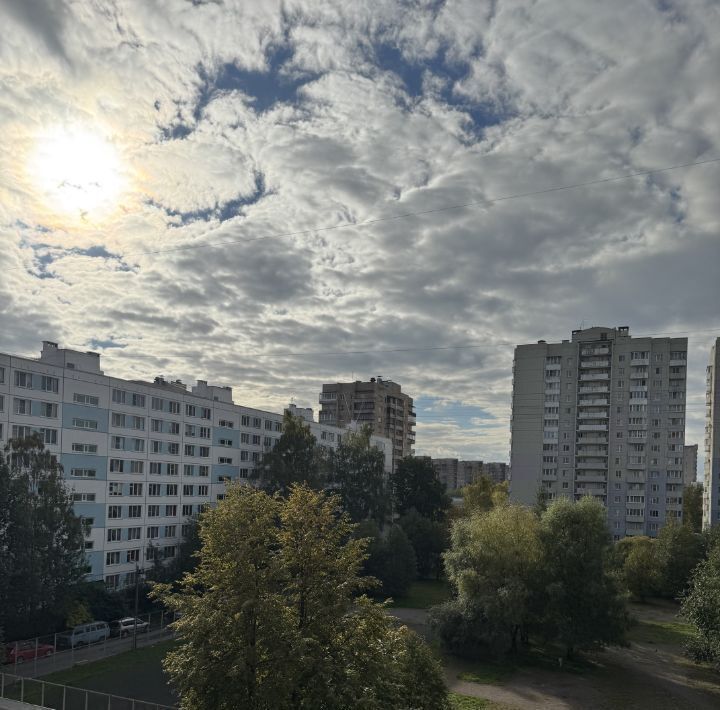 квартира г Санкт-Петербург метро Улица Дыбенко пр-кт Солидарности 21к/3 округ Оккервиль фото 9