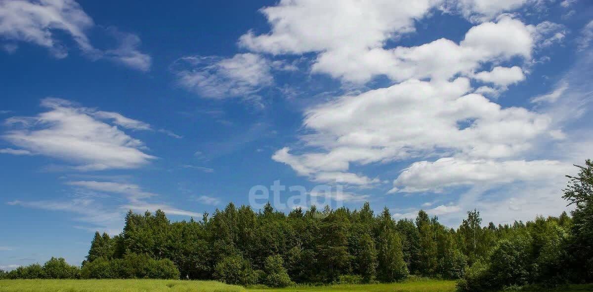 земля г Череповец р-н Зашекснинский 104-й микрорайон фото 2