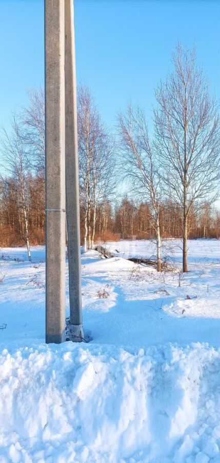 земля р-н Ярковский с Ярково Ярковское сельское поселение фото 4