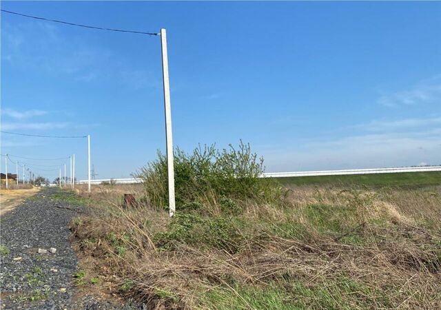 ул Шафрановая Большелогское сельское поселение, Большой Лог фото