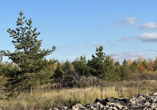 Республика Татарстан Татарстан, Новокашировское сельское поселение, Альметьевск фото