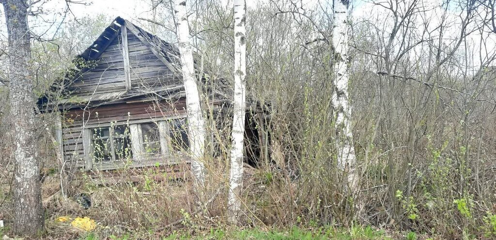 земля р-н Новгородский снт Ягодка Панковское городское поселение, садоводческий массив № 1, садоводческое товарищество фото 3