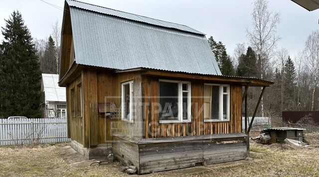 Щелково городской округ, д. Бобры фото