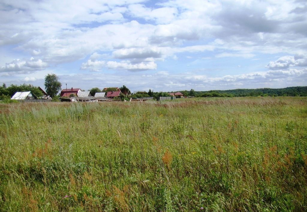 земля р-н Киржачский д Наумово Ярославское шоссе, 9730 км, муниципальное образование Горкинское, Киржач фото 12