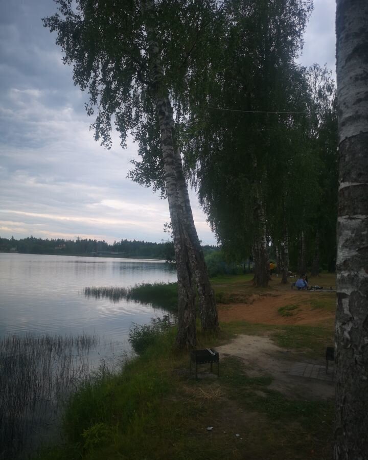 земля городской округ Дмитровский д Агафониха 19 км, Лобня, Рогачёвское шоссе фото 13