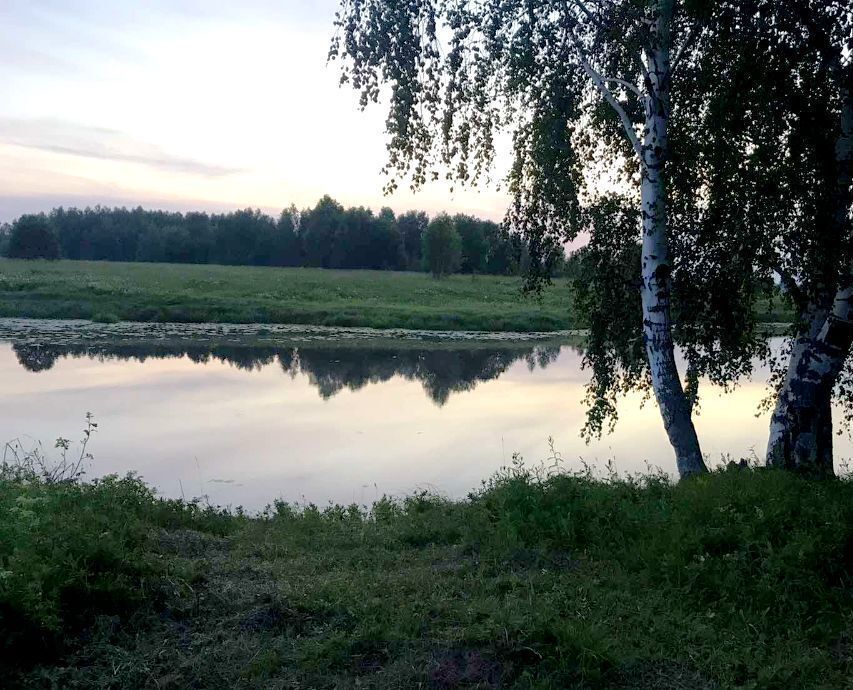 земля р-н Ярославский д Сорокино Туношенское сельское поселение, Туношна фото 2