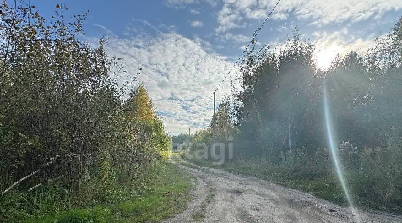 земля р-н Гурьевский п Бугрино снт Отважное ул Магистральная фото 6