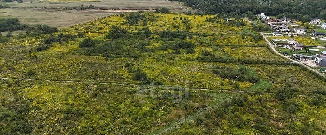 земля р-н Зеленоградский п Холмогоровка Зеленоградский муниципальный округ фото 11