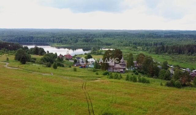 д Маньга Пряжинское городское поселение, Пряжа фото