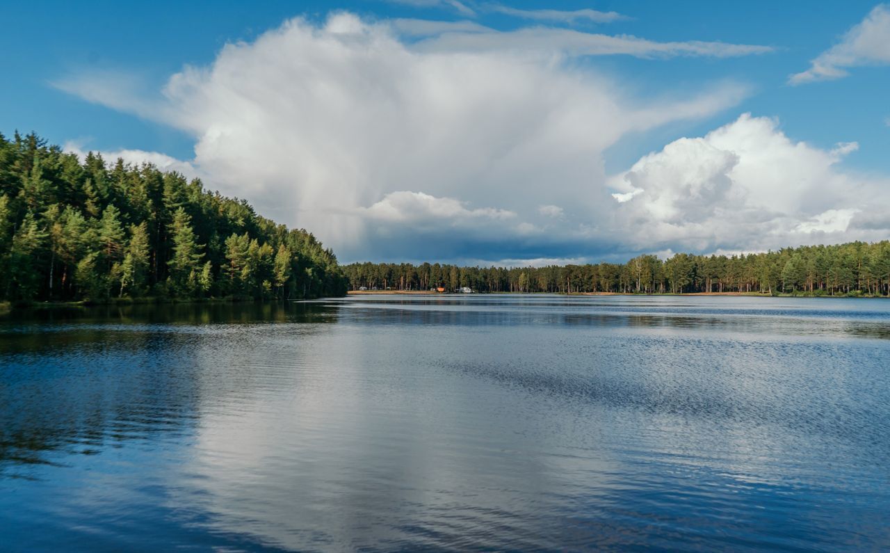 земля р-н Всеволожский д Хапо-Ое Мурманское шоссе, 9738 км, Колтушское городское поселение, коттеджный пос. Коркинский ручей фото 3