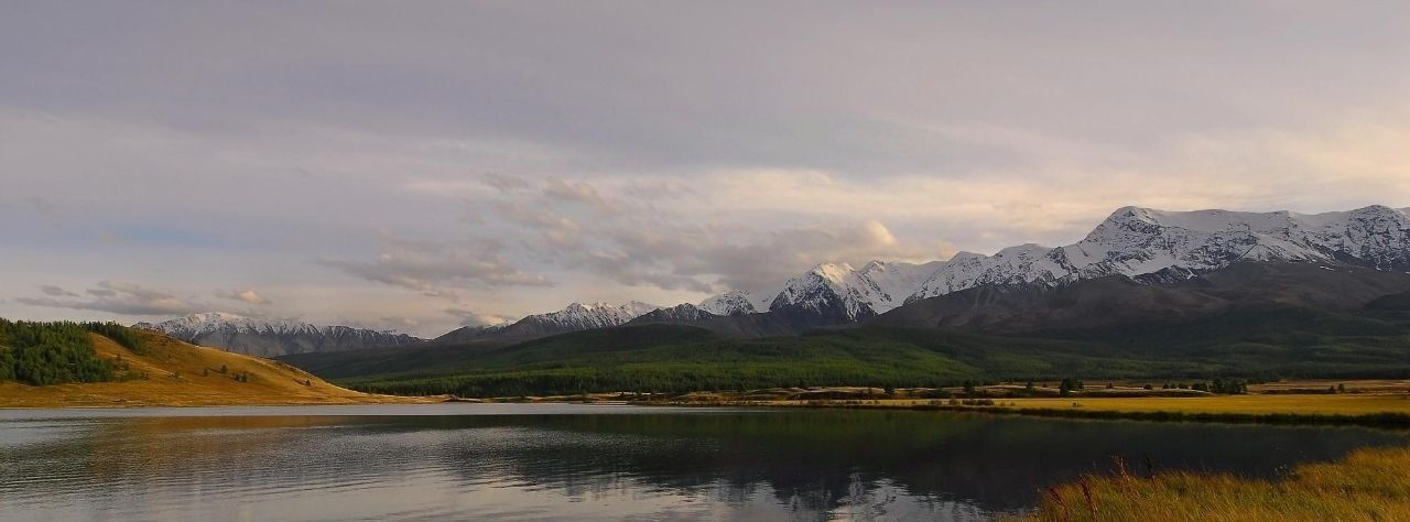 офис р-н Кош-Агачский с Курай Курайское сельское поселение фото 13