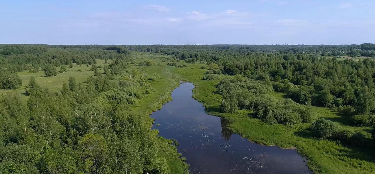 земля р-н Красносельский Красносельский район, Красивая земля территория днп фото 2