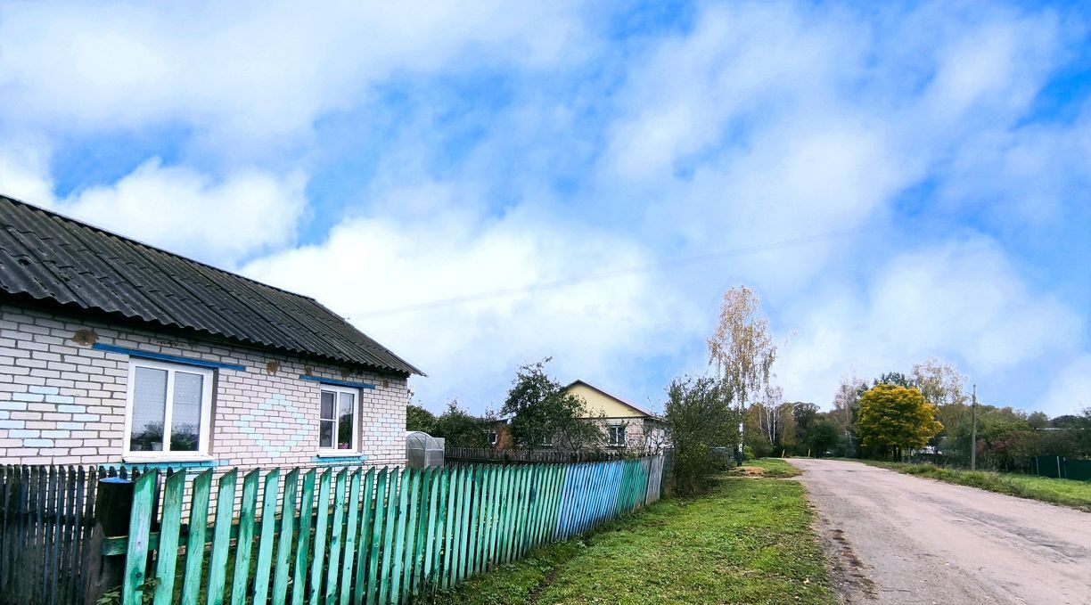 дом р-н Краснинский д Малеево ул Молодежная фото 7