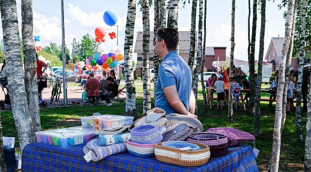 дом р-н Всеволожский д Вартемяги ул Серафимовская 12 Агалатовское с/пос, ВП Лайт кп, Проспект Просвещения фото 16