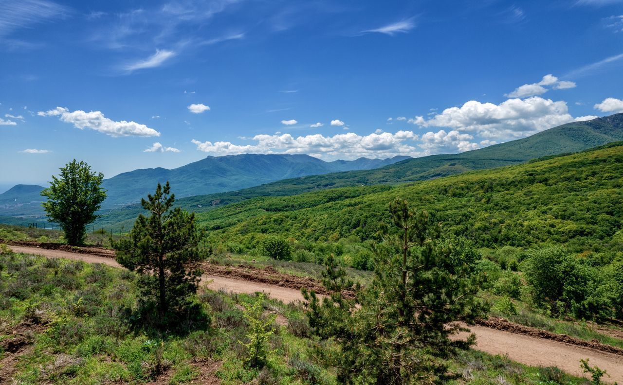 дом г Алушта с Лучистое р-н мкр Лесная сказка 15 фото 10