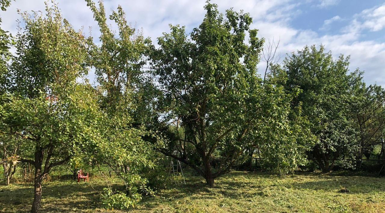 дом р-н Александровский п Балакирево городское поселение Балакирево фото 14