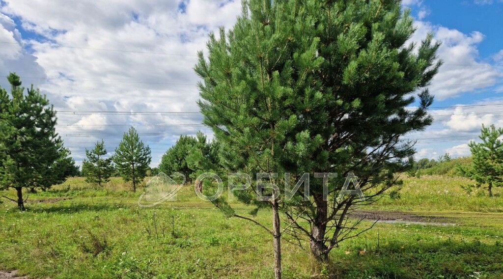 земля р-н Тюменский с Луговое фото 3