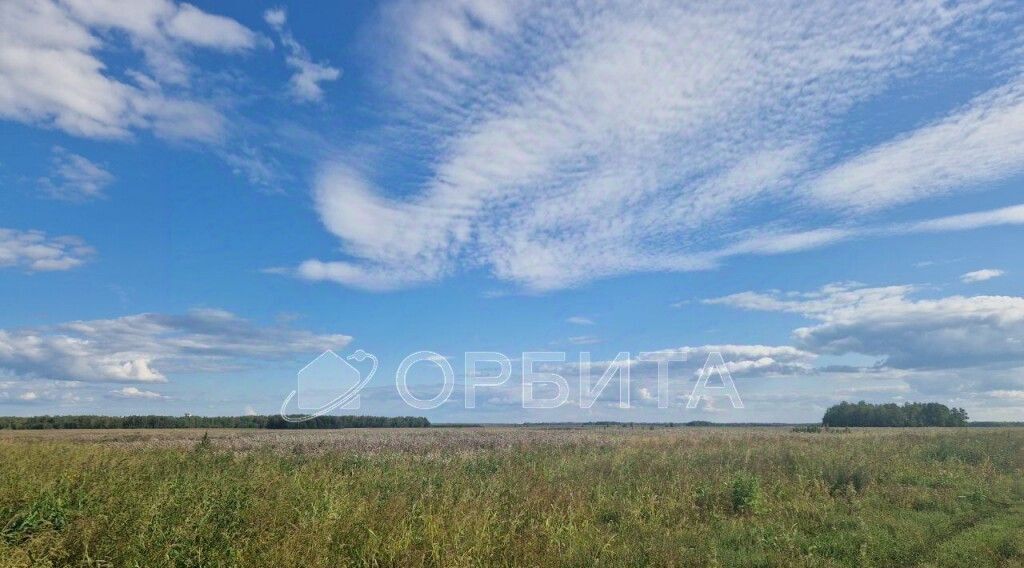 земля р-н Тюменский с Луговое фото 4