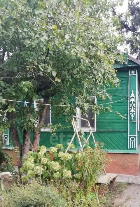 дом г Энгельс Новое Осокорье ул Амурская 9 городское поселение Энгельс фото 1