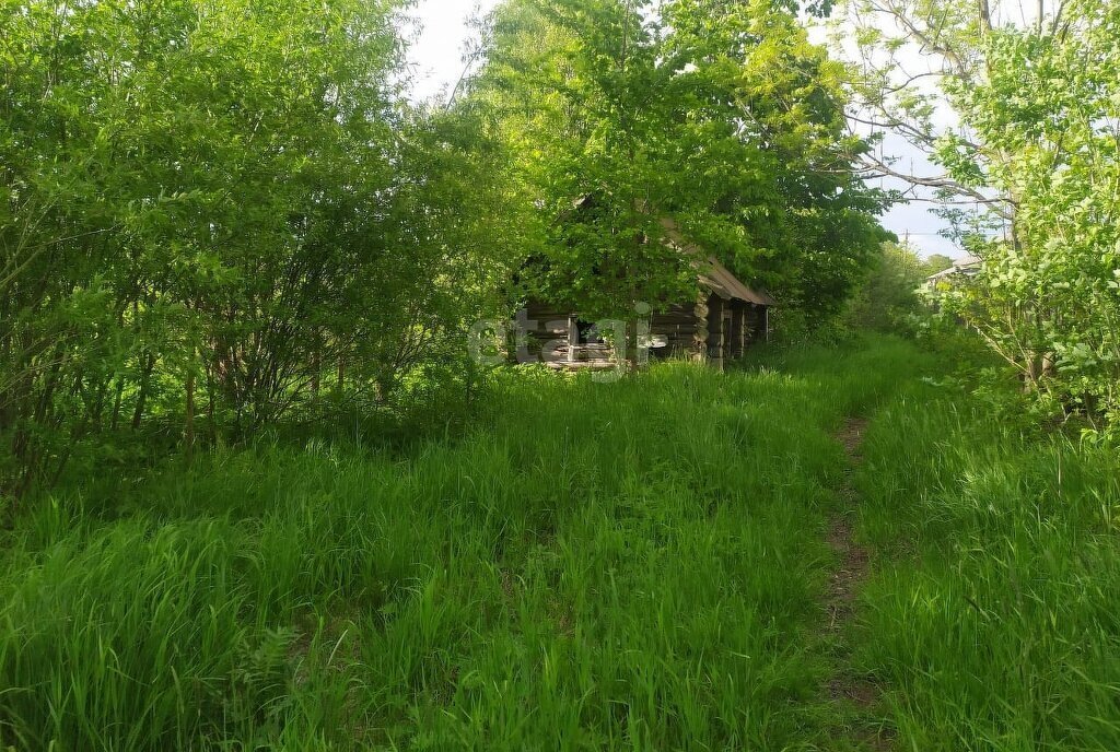 земля р-н Новгородский с Бронница ул Лесная фото 3