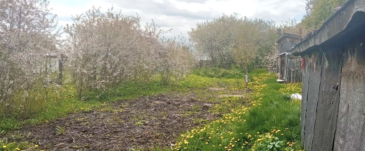 дом р-н Ардатовский с Пашутино Ардатов фото 11