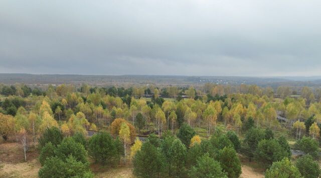 городской округ Серпухов д Большое Грызлово фото