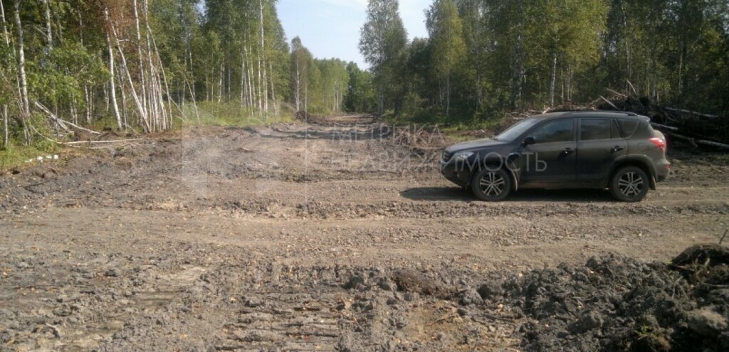 земля р-н Нижнетавдинский с Нижняя Тавда улица Максима Горького фото 6