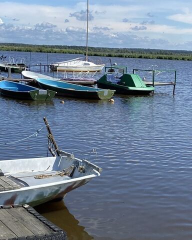 р-н Курортный озеро Сестрорецкий Разлив фото